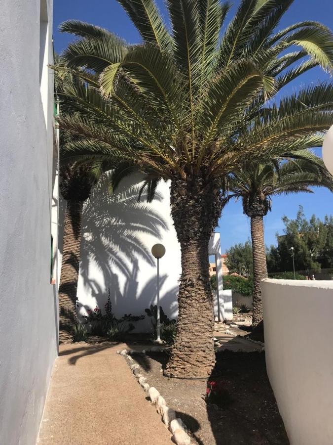Casa Palmera Apartament *