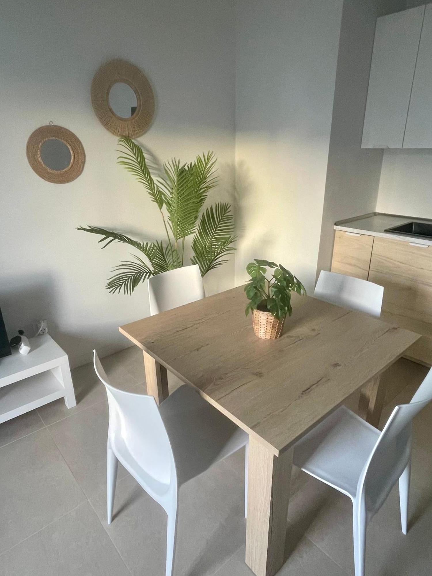 Apartment Casa Palmera *